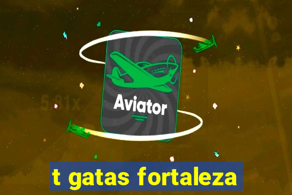 t gatas fortaleza